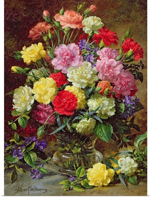 Carnations of Radiant Colours