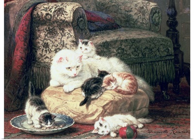 Cat with her Kittens on a Cushion