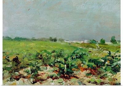 Celeyran, View of the Vineyard, 1880