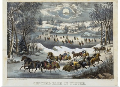 Central Park In Winter