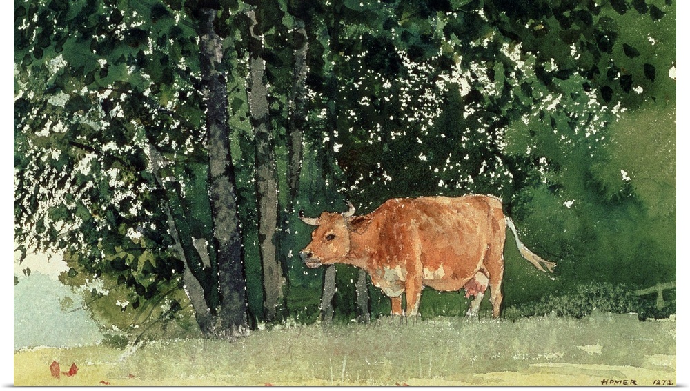 Cow in Pasture, 1878