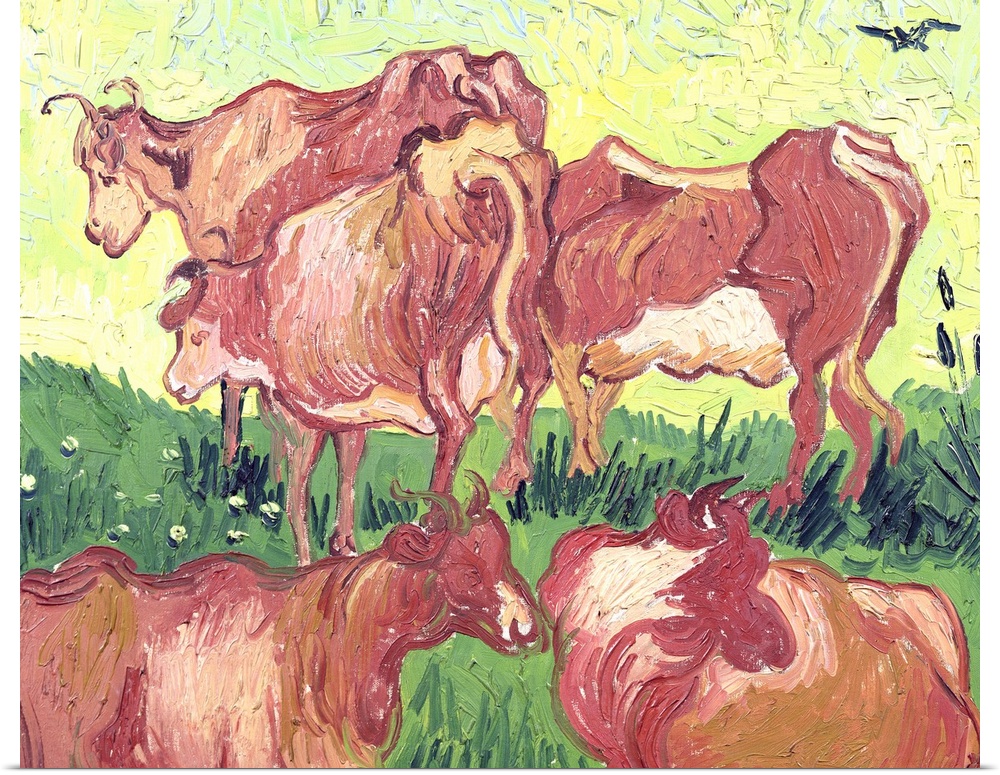 XIL16773 Cows, 1890 (oil on canvas)  by Gogh, Vincent van (1853-90); 55x65 cm; Musee des Beaux-Arts, Lille, France; Giraud...