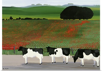 Cows and Poppies