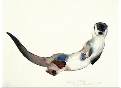 Curious Otter, 2003