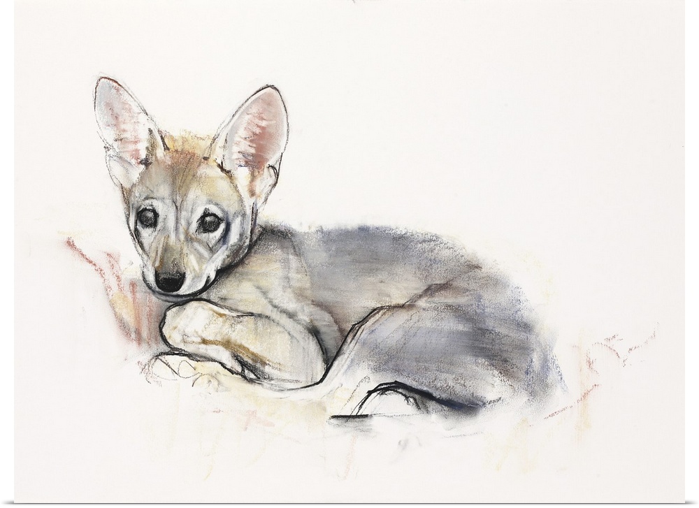Contemporary wildlife painting of an Arabian Wolf cub.
