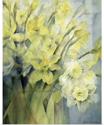 Daffodils, Uncle Remis and Ice Follies