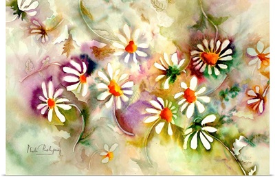 Dance of the Daisies