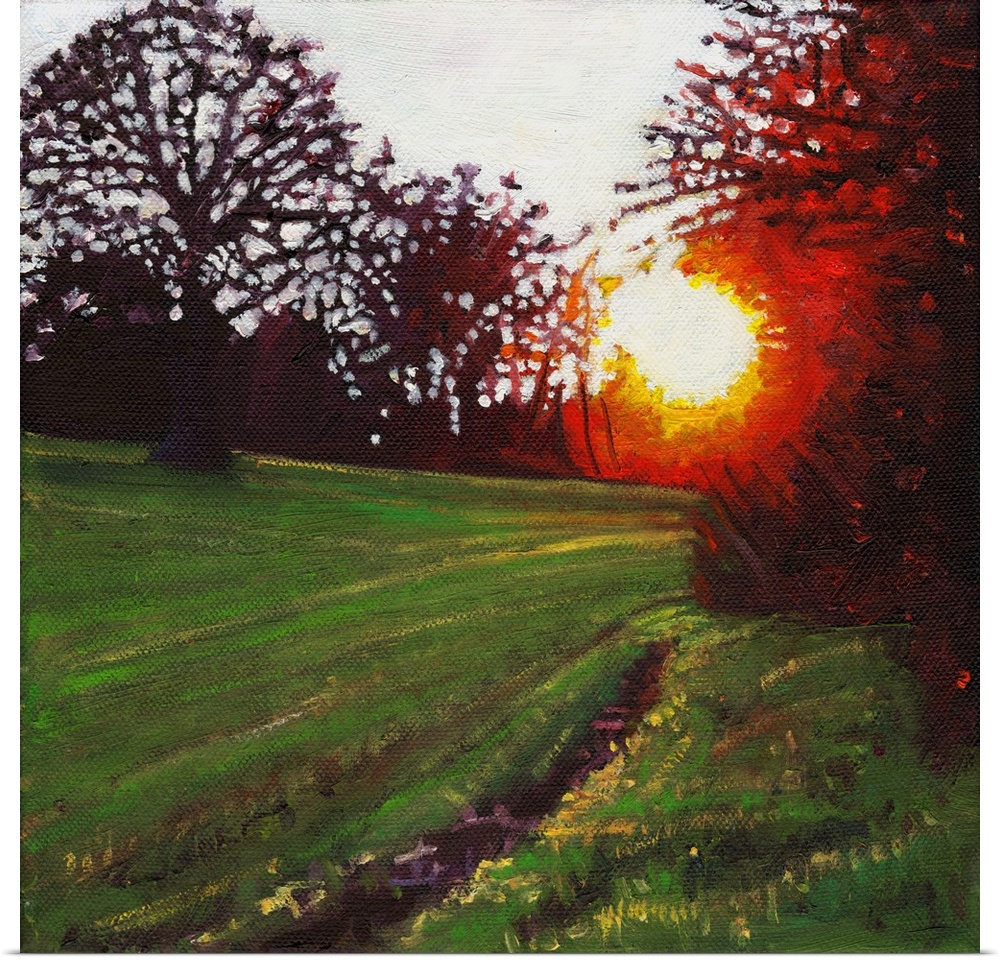 Contemporary painting of a forest clearing in a countryside scene with a setting sun seen through the branches of the trees.