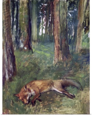 Dead Fox Lying In The Undergrowth, 1865
