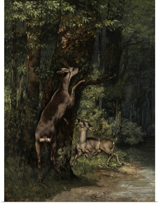 Deer in the Forest, 1868