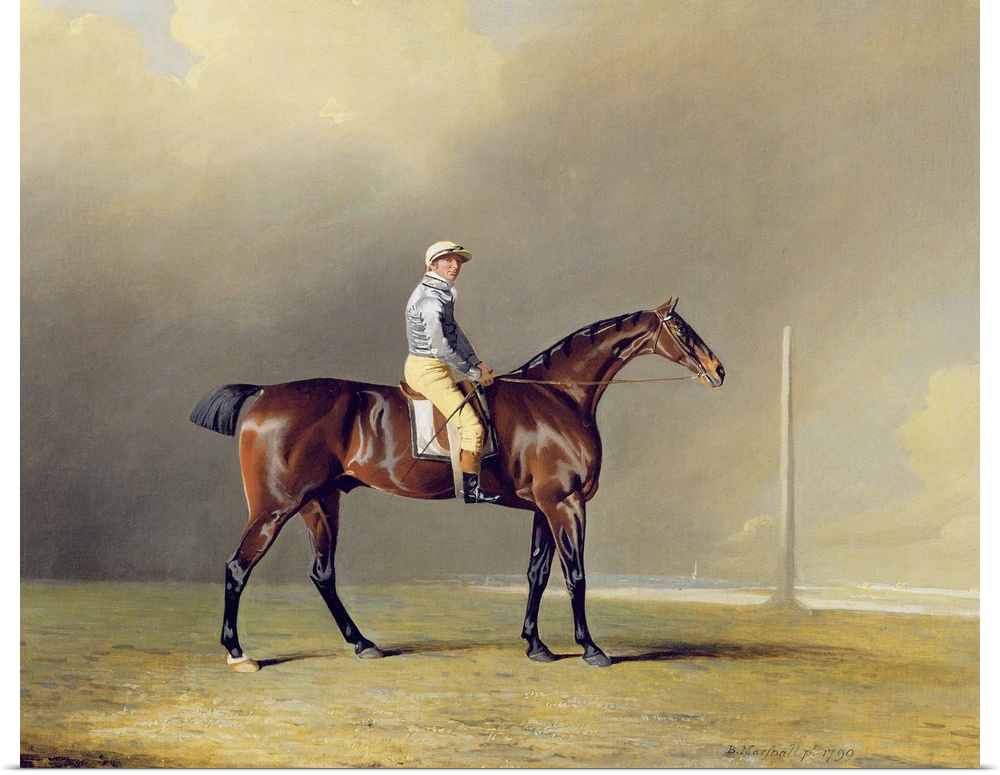XYC136263 Diamond, with Dennis Fitzpatrick Up, 1799 (oil on canvas)  by Marshall, Benjamin (1767-1835); 86.2x104 cm; Yale ...