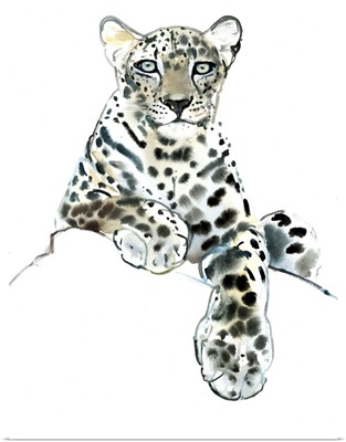 Direct (Arabian Leopard)
