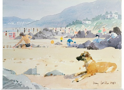 Dog on the Beach, Woolacombe, 1987