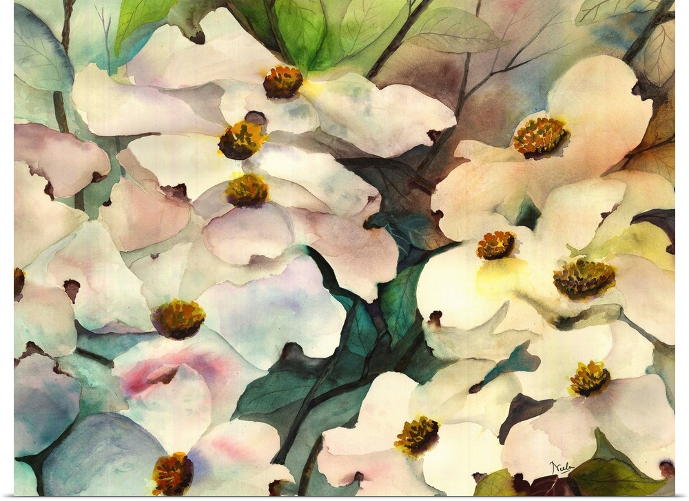 Contemporary watercolor painting of dogwood flowers.