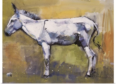 Donkey Stallion, Ronda, 1998