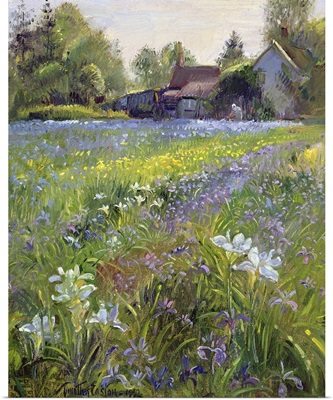 Dwarf Irises and Cottage, 1993