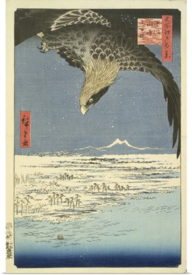 Eagle Over 100,000 Acre Plain at Susaki, Fukagawa