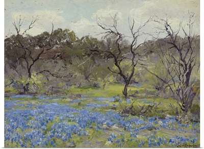 Early Spring Bluebonnets And Mesquite, 1919