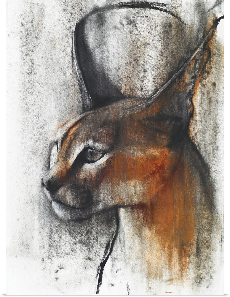 Contemporary wildlife portrait of a wild Caracal.