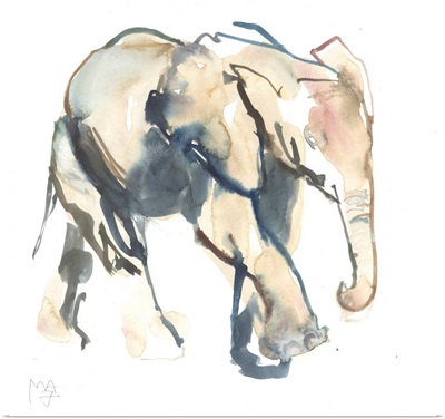 Elephant Calf, Loisaba, 2017