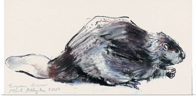 European Beaver (Study) 2001