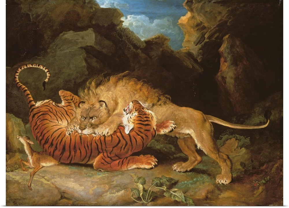 Fight between a Lion and a Tiger, 1797