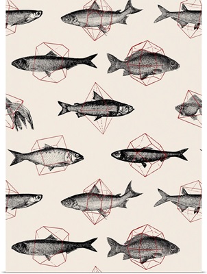 Fishes in Geometrics