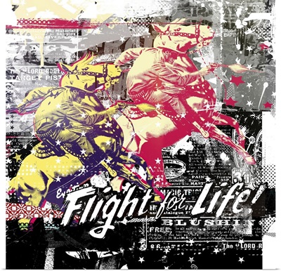 Flight For Life!, 2015