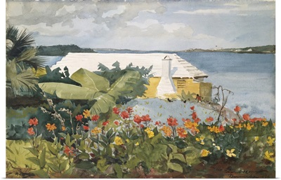 Flower Garden And Bungalow, Bermuda, 1899