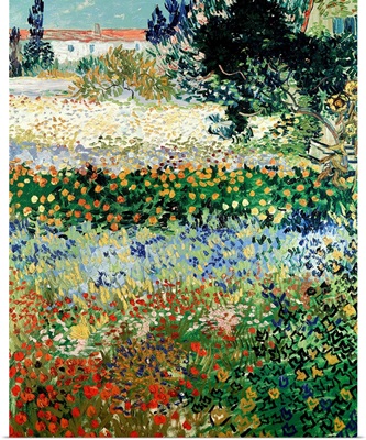 Garden in Bloom, Arles, 1888
