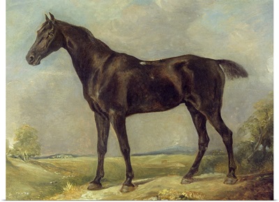 Golding Constable's Black Riding-Horse, c.1805-10