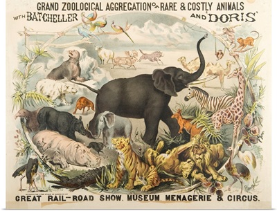 Grand Zoological Aggregation Of Rare And Costly Animals With Batcheller And Doris