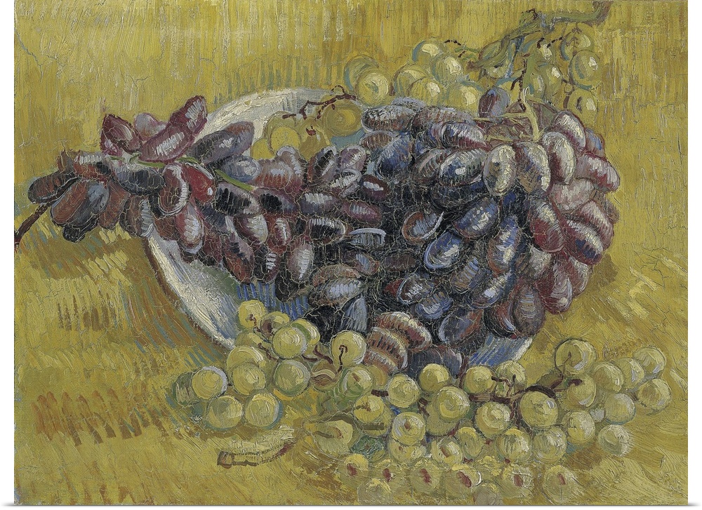 Grapes, 1887
