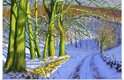Green Trees, Winter, Dam Lane, Derbyshire
