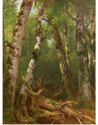 Group of Trees, 1855-77