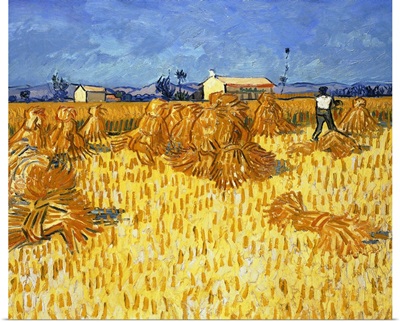 Harvest in Provence, June 1888