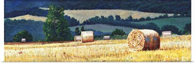 Haybales on hillside, oil on canvas