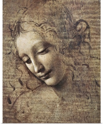 Head of a Young Woman with Tousled Hair or, Leda