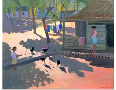 Hens and Chickens, Cuba, 1997