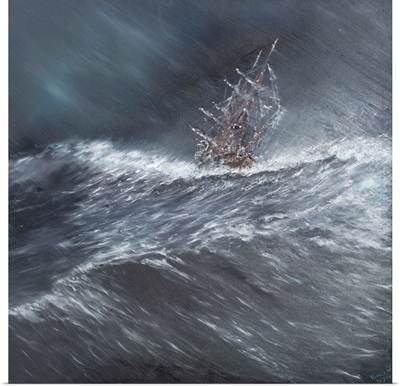 HMS Beagle in a storm off Cape Horn I