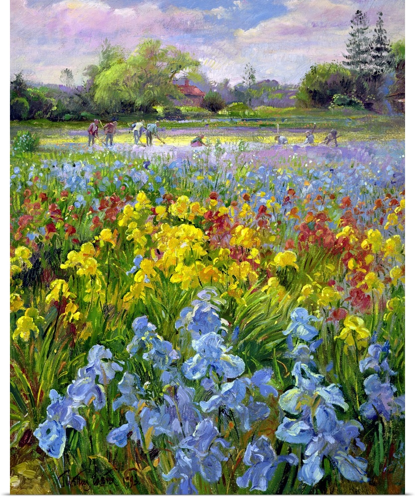 Vertical, oversized floral painting of a field of multicolored irises, a large group of people in the distant background a...