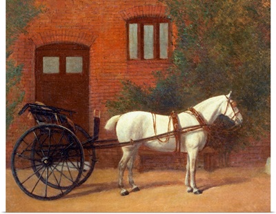 Horse hitched to a jaunting cart