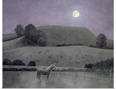 Horse in Moonlight, 2005