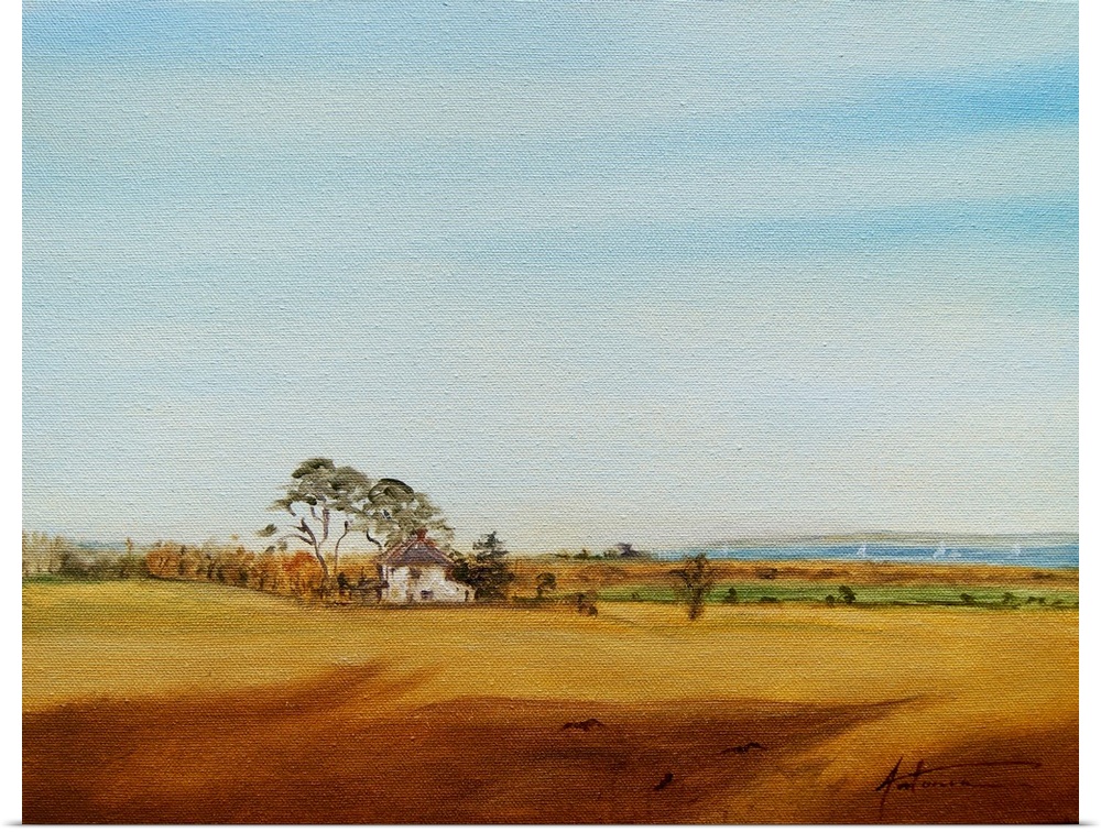 House and Fields, 2016, originally oil on canvas.