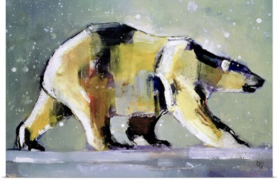 Ice Bear, 1998