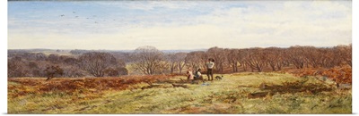In the New Forest, Hampshire