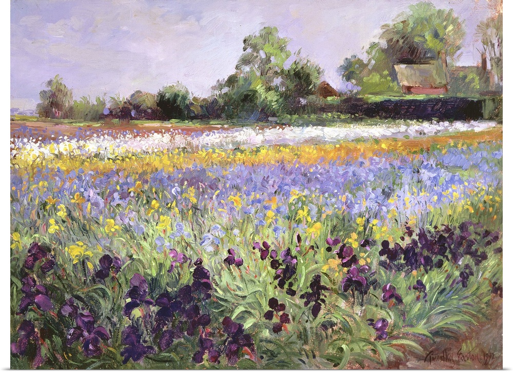 Iris Field and Two Cottages.