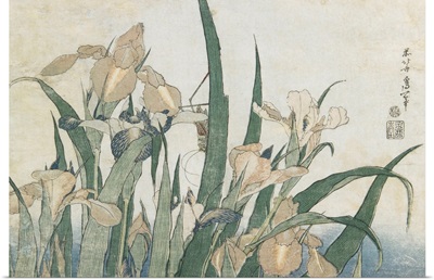 Iris Flowers and Grasshopper, c.1830-31