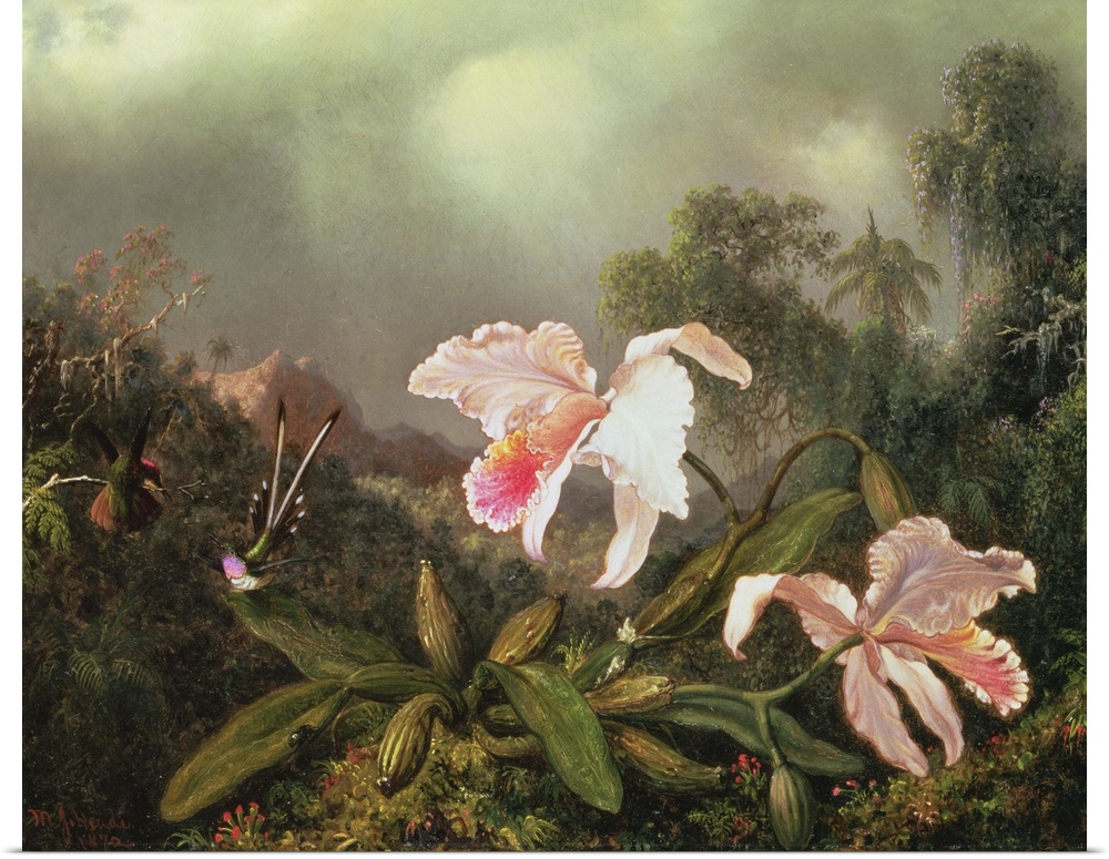 XTD68580 Jungle orchids and hummingbirds, 1872 (oil on canvas)  by Heade, Martin Johnson (1819-1904); 45.7x58.4 cm; Yale U...