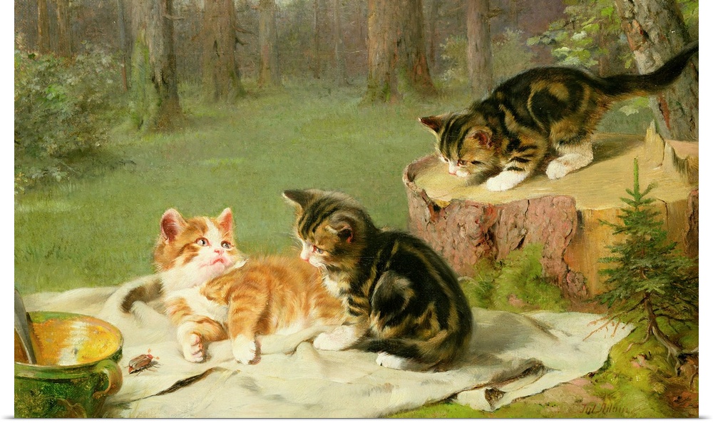 BAL15609 Kittens Playing (oil on canvas) by Honnef, Ewald (19th century); Josef Mensing Gallery, Hamm-Rhynern, Germany; Am...